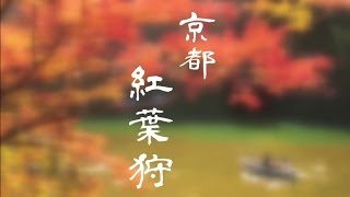 【今周刊】京都．紅葉狩