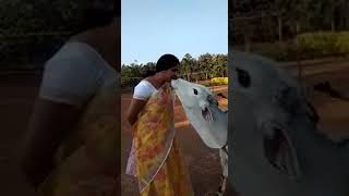 Gomatha says amma||Giving kiss to mother ||💐💐