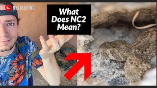 What Does NC2 Mean?