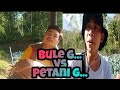 BULE GADUNGAN VS PETANI GALAU