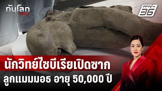 นักวิทย์ไซบีเรียเปิดซากลูกแมมมอธสภาพสมบูรณ์ อายุ 50,000 ปี | ทันโลก DAILY | 24 ธ.ค. 67