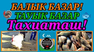 🦃 ТАУЫК БАЗА - БАЛЫК БАЗАР ПТИЧИЙ 02.02.25ж.#тахиаташ#каракалпакистан#бахалары#цены#индюки#куры#утки