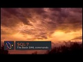 SQL - Basic DML