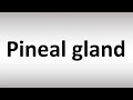 How to Pronounce Pineal gland