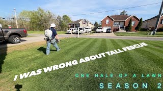 ❌Tall Fescue❌ vs 🔥Turf-Type-Tall Fescue 🔥- Season 2