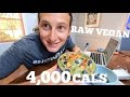 What I Eat In A Day★Fully Raw Vegan★Ironman Triathlon Training What I Eat In A Day★Fully Raw Vegan★Ironman Triathlon Training