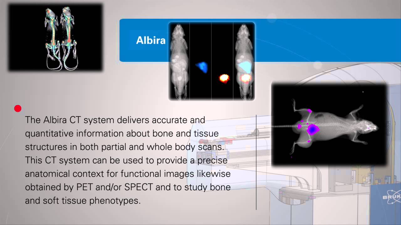 Albira Preclinical Pet Spect Ct Imaging System From Bruker Youtube