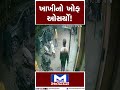 રાજકોટમાં ખાખીનો ખોફ ઓસર્યો મંતવ્યન્યૂઝ