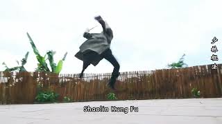 黑神话悟空的棍法在现实中也太飒了吧！#kungfu #shaolinkungfu #wushu #martialarts