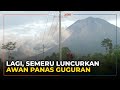 Gunung Semeru Kembali Luncurkan Awan Panas Guguran Sejauh 3 Kilometer