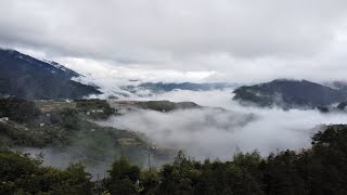 雲海 武陵 環山部落 萬福果園民宿