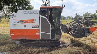 เจอตัวจริงสวยมาก รถเกี่ยวข้าวของเสี่ยสุน Kubota dc105x