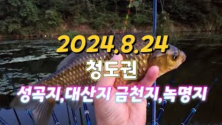 2024.8.26청도권 붕어낚시포인트 성곡지 ,금천지,대산지,녹명지