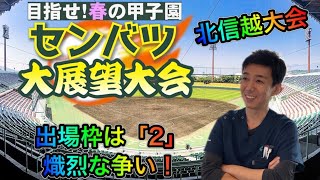 【北信越大会展望】目指せセンバツ！秋季高校野球北信越（長野・新潟・富山・石川・福井県代表）地区大会を展望！春の甲子園へ進むのはどこ？予想しました【選抜高校野球】