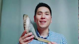 쇼파르 부는 법 2 (양각나팔) Shofar \