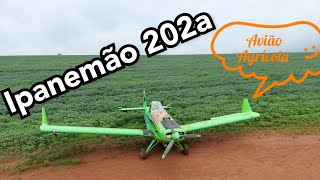 Avião Ipanema 202a na aplicação de fungicida no milho.