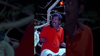 ലഡ്ഡു എൻ്റെ ഒരു വീക്കിനെസ് ആയിപ്പോയി |  Ee Parakkum Thalika Movie Comedy Scene