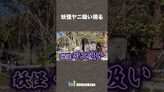 妖怪ヤニ吸い現る【どこイキ神戸編】 #shorts