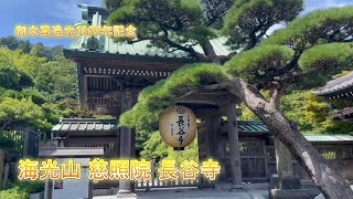 鎌倉にお出かけ１　鎌倉市長谷【海光山慈照院長谷寺】にお参りしました/VLOG