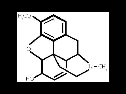 Tucibi (2CB): The New Drug Of The Rich - Psychology - 2024