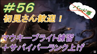 初見さん大歓迎DBD配信　サバイバー彩１ねらいつつ、ブライト新パーク構成でマウキー練習します！　第55回