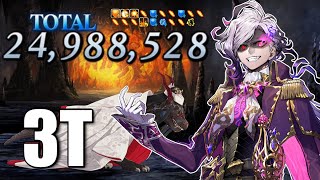【FGO NA】We Are So Back 🔥 | Monte Cristo 3T - 24.9M Damage Run | Summer 6 Rerun - TA Damage Contest