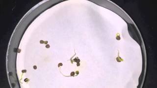 APES salinity lab