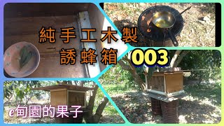 純手工木製「誘蜂箱」003~放置在芒果樹下，做足功課，等待野蜂光臨。2023年1月27日