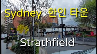 (호주사는해리) 시드니 산책/ 호주/  시드니 한인타운 Strathfield