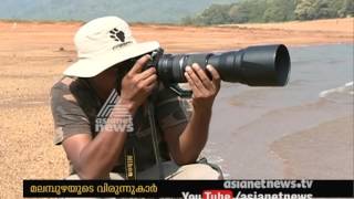 മലമ്പുഴയിൽ സൈബീരിയൻ പക്ഷി അമുർ ഫാൽക്കൺ, മലമ്പുഴയിൽ ഫോട്ടോഗ്രാഫർമാരുടെ വൻ തിരക്ക്