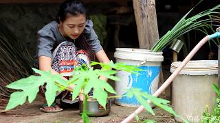 Ep.8 | yellow rice , chicken meat , made with natural flower colors