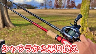 ワールドシャウラ1704Rからバンタム1711MH＋に乗り換えました！【琵琶湖バス釣り】