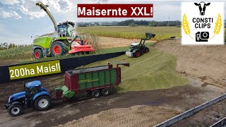 Großeinsatz Maisernte 2022 | Lohnunternehmer im EINSATZ für Biogasanlage | corn harvest