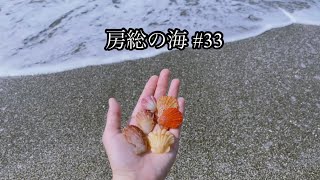 房総の海#33/色とりどり！赤・白・黄色・ピンク・オレンジ・紫の貝殻を拾う/波打ち際/波の音