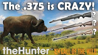 Is the HUNTERS' CHOICE BOLT ACTION DLC Worth It?!? - Call of the Wild