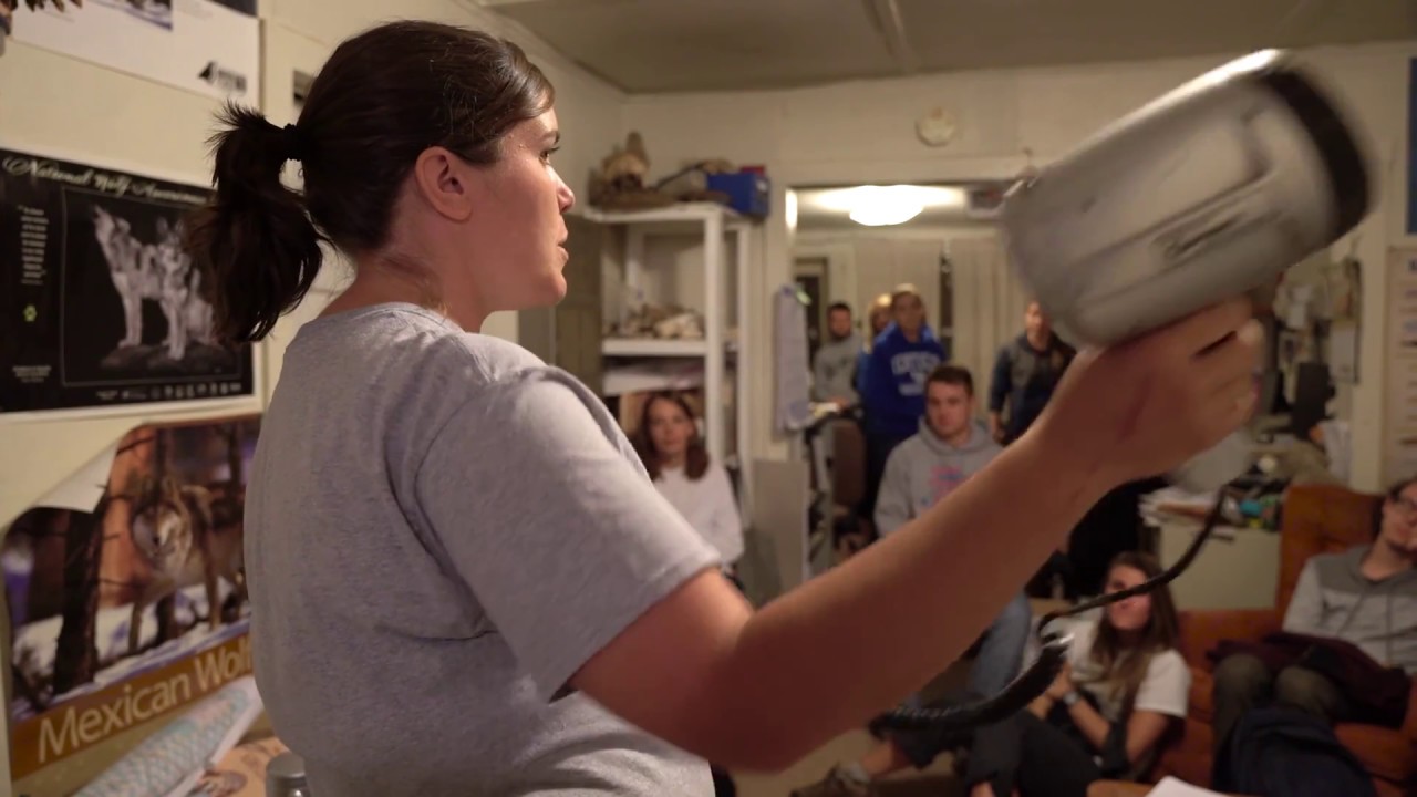 Live Webcams Animals And Wildlife Arizona