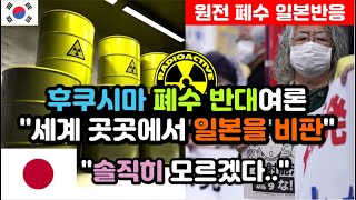 [일본반응] 후쿠시마 오염수 방류를 앞둔 일본 네티즌들 반응 "안전하지만, 우리는 안 먹을거야!" / (원전 오염수 해외반응, 외국반응 등)