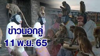 ข่าวนอกลู่ 11 พ.ย. 65 - จัดเต็ม! ลพบุรีแถลงข่าวเตรียมจัดงานเลี้ยงโต๊ะจีนลิง 27 พ.ย.นี้