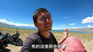 骑行摩旅西藏会遇到危险吗，要注意哪些问题，露营遇到野兽怎么办