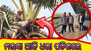 ମଉସା ଆଜି ଧରା ପଡିଗଲେ ଓଡ଼ିଆ VLOG