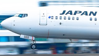 【鹿児島空港】【4K】Kagoshima Airport/plane spotting/[KOJ/RJFK] #鹿児島空港 #離着陸 #飛行機動画 2/12(日)