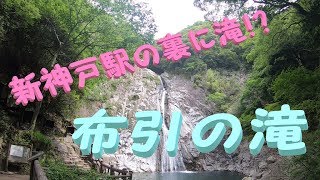 【神戸 布引の滝】新幹線駅の裏に滝⁉布引の滝に行ってみた♪