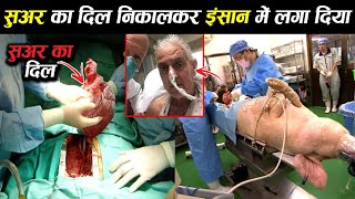 सूअर के दिल ने इंसान को दिया जीवनदान heart transplant medical ! earth adventure