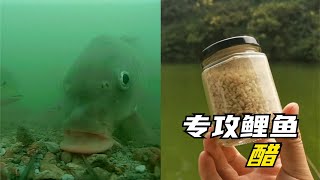 醋釣魚真的有那麽厲害？水下對比測試揭露真相，實踐證明真實有效