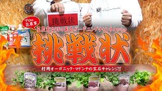 【プロからの挑戦状！】ペチュニアマドンナの宝石チャレンジ！花農家ゆうきさんとのコラボ企画！