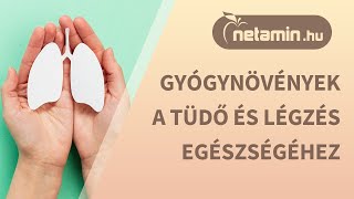 5 gyógynövény a tüdő egészségéhez | netamin.hu