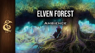 Elven Forest | Magical Ambience | 1 Hour