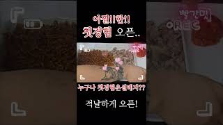 SUB)신상라면 마라짜파게티 슥삭!