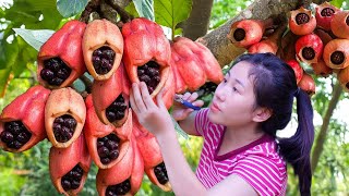 How to Grow and Harvest the Exotic Pink LUU Pomegranate #harvesting #fruit #bushcraft