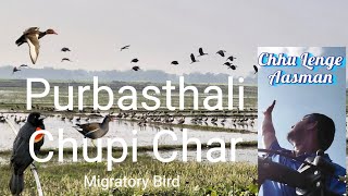 Chupi Char Purbasthali || Purbasthali Chupi Char || Weekend Tour || Chupi kasthashali pakhi...